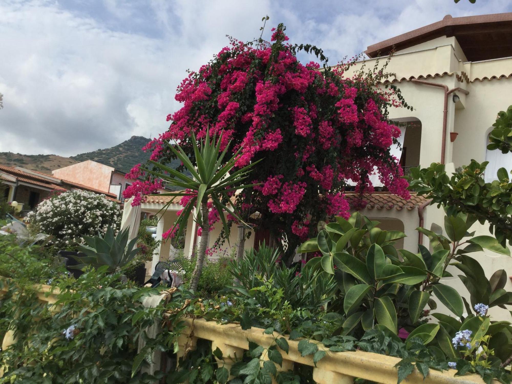 Villa Bouganville 瓦雷多利亚 外观 照片