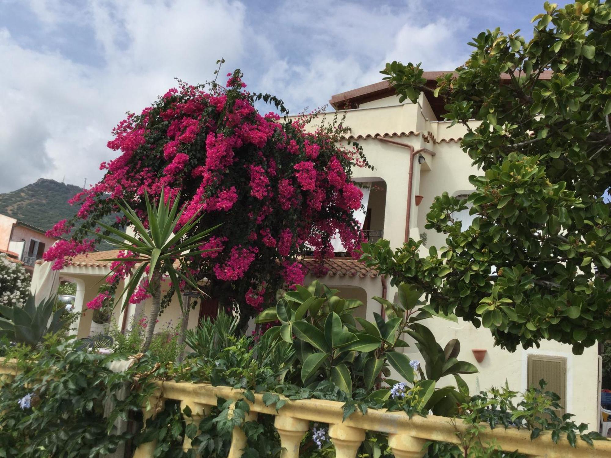 Villa Bouganville 瓦雷多利亚 外观 照片